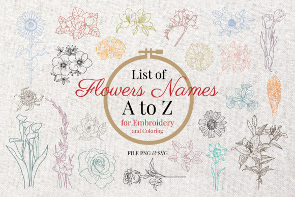 List of Flowers Names a to Z Graphic Illustrations By Hanatist Studio