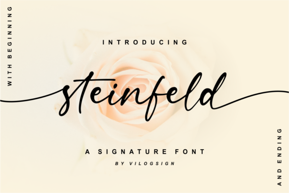 Steinfeld Script & Handwritten Font By Vilogsign
