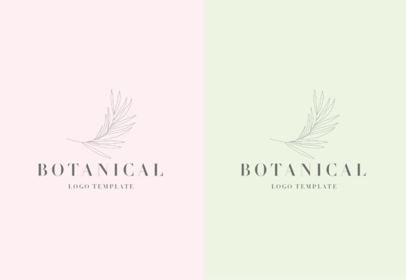Botanical Logo Pack Graphic Logos By Depict_Design