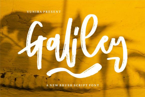 Galiley Script & Handwritten Font By Vunira
