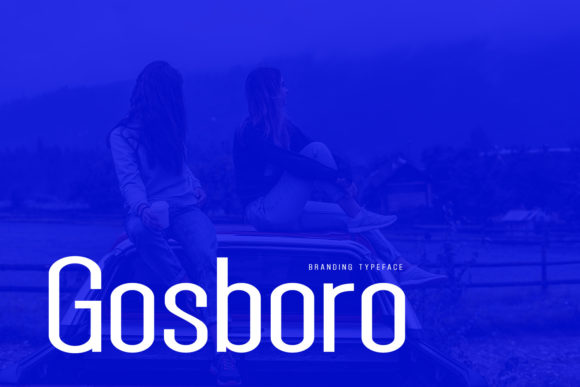Gosboro Sans Serif Font By BeeType