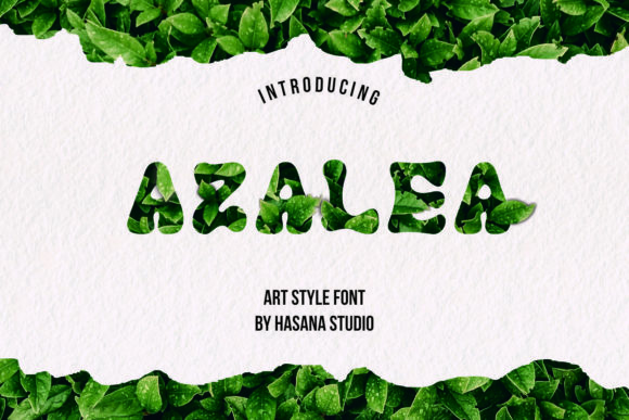 Azalea Display Font By Hasana Store