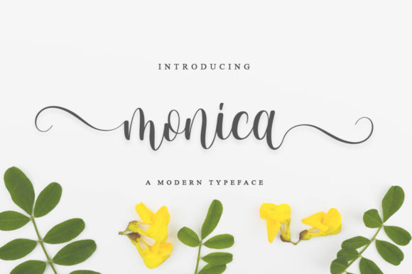 Monica Script & Handwritten Font By fanastudio