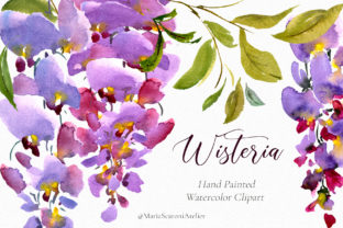 Watercolor Flowers Wisteria Clipart Graphic Illustrations By MariaScaroniAtelier 1