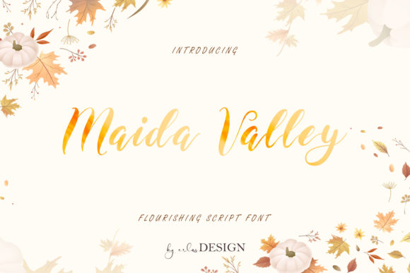 Maida Valley Script & Handwritten Font By erlosDESIGN
