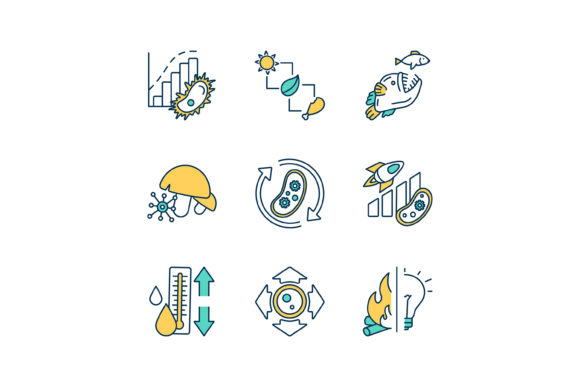 Biological Processes RGB Color Icons Set Graphic Icons By bsd studio