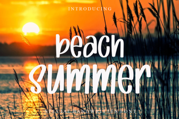 Beach Summer Script & Handwritten Font By Garcio