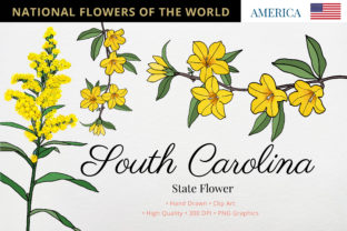 South Carolina State Flower Graphic Illustrations By Hanatist Studio 1