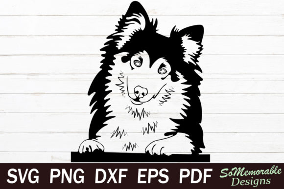 Shetland Sheepdog Graphic Graphic Templates By SoMemorableDesigns