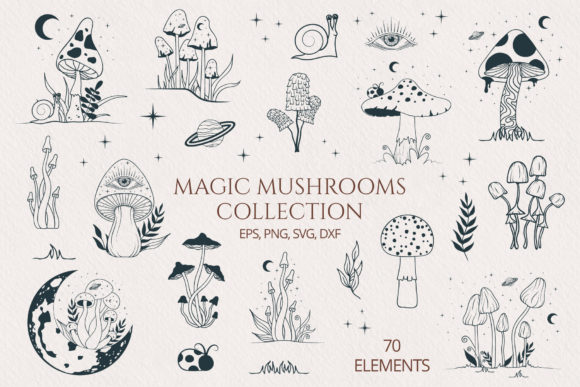 Hand Drawn Magic Mushrooms Collection Grafik Druckbare Illustrationen Von Kirill's Workshop