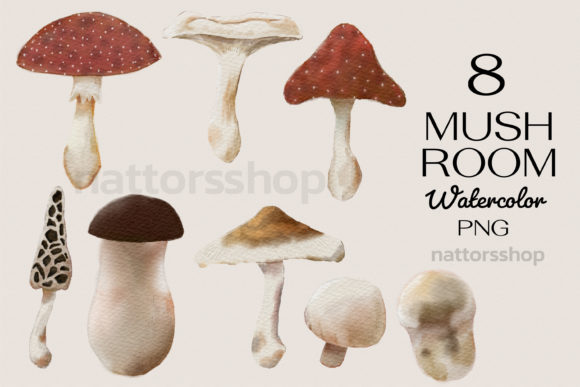 Watercolor Clipart of Mushroom Graphic Illustrations By nattors