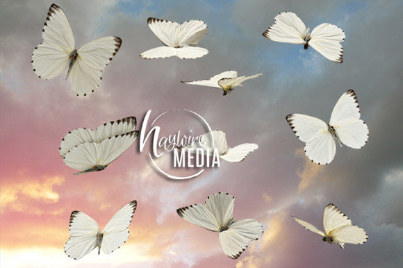 Transparent White Butterfly Moth Graphic Layer Styles By HaywireMedia