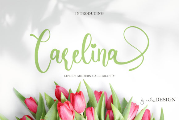 Carelina Script & Handwritten Font By erlosDESIGN