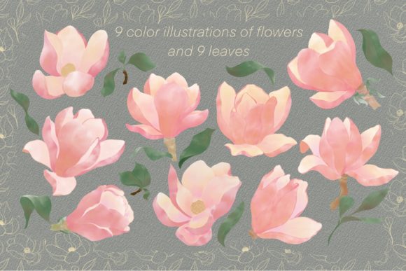 Illustration "Pink Magnolia Flowers" Graphic Illustrations By art.dots.alex