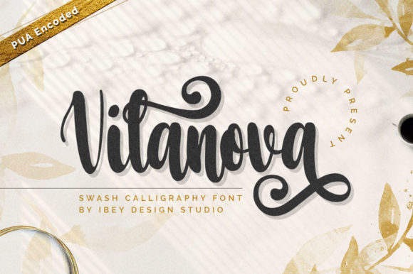 Vilanova Script & Handwritten Font By ibeydesign