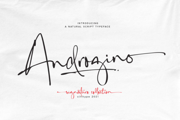 Androgino Script & Handwritten Font By Cititype