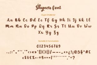 Shyness Script & Handwritten Font By twinletter 9