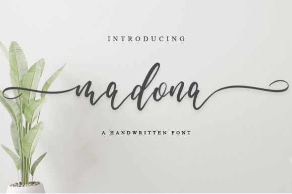 Madona Script Script & Handwritten Font By fanastudio