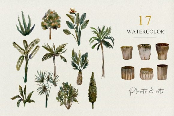 Tropical Plants & Pots, Watercolor Set Graphic Illustrations By Kaleriia Studio