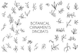 Botanical Ornaments Dingbats Font By goodigital 1