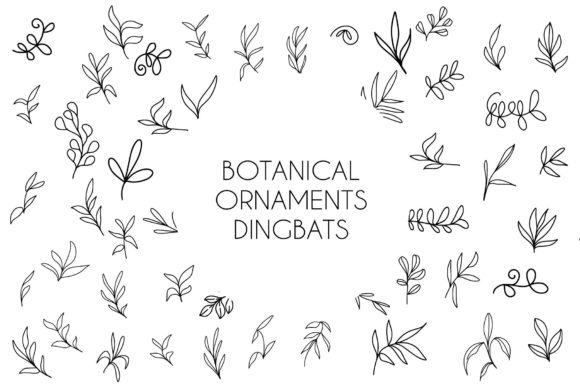 Botanical Ornaments Dingbats Font By goodigital