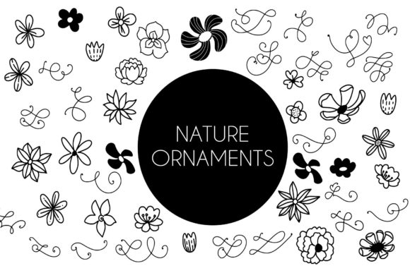 Nature Ornaments Dingbats Font By goodigital