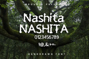 Nashita Display Font By nemo 2