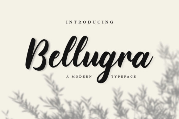 Bellugra Script & Handwritten Font By fanastudio