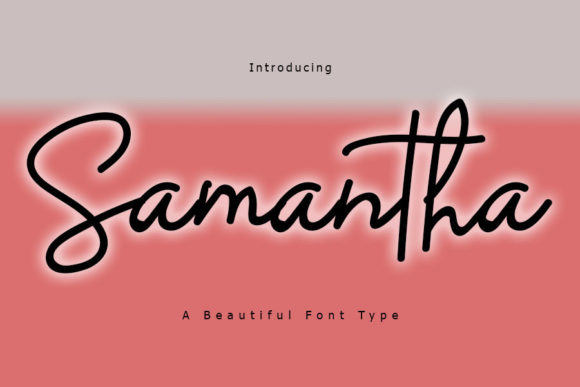 Samantha Script Fonts Font Door muhawk47