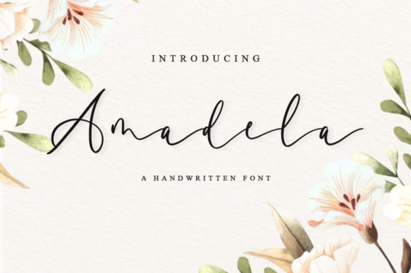 Amadela Script & Handwritten Font By fanastudio