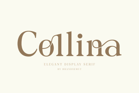 Collina Serif Font By BrandSemut