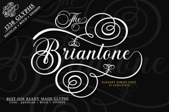 The Briantone Script & Handwritten Font By bungreja123