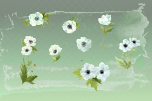 White Anemone Floral Watercolor PNG Set Graphic Illustrations By roselocket 4