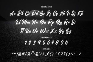 Voldory Script & Handwritten Font By typotopia 4