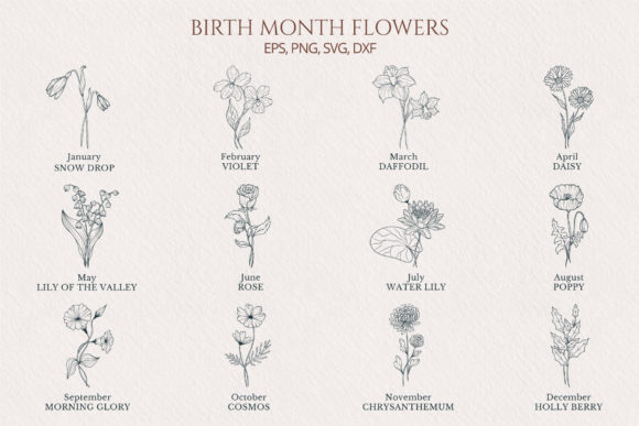 Hand Drawn Birth Month Flower Collection Gráfico Ilustrações para Impressão Por Kirill's Workshop