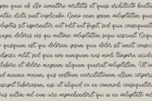 Whitening Script & Handwritten Font By Subectype 5