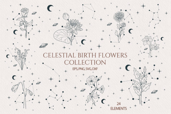 Hand Drawn Celestial Birth Month Flowers Illustration Illustrations Imprimables Par Kirill's Workshop