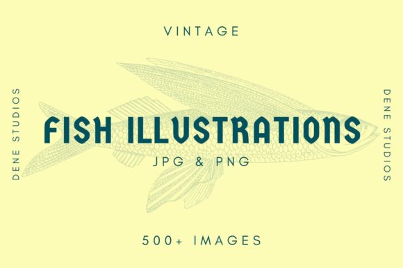500+ Vintage Fish Illustrations Grafik Druckbare Illustrationen Von denestudios