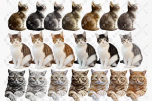 Cats Clipart Cat Breeds Cat Bundle Graphic Illustrations By LeCoqDesign 2