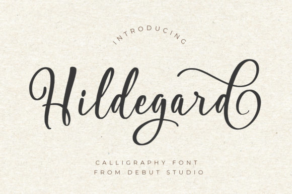 Hildegard Script Script & Handwritten Font By Debut Studio