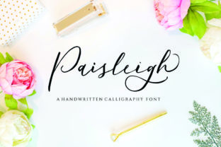 Paisleigh Script & Handwritten Font By Reyrey Blue 1