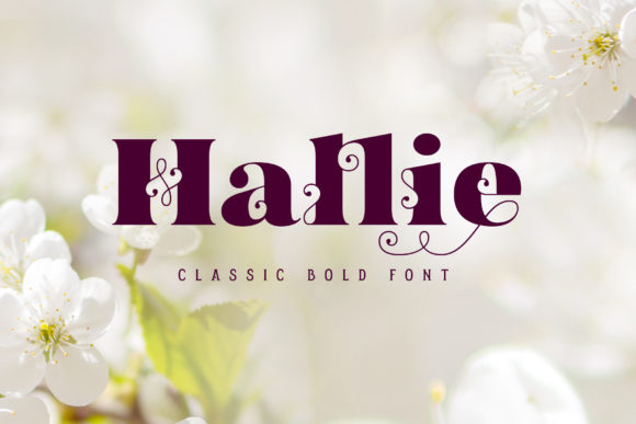 Hallie Font Display Font Di Gleb Guralnyk