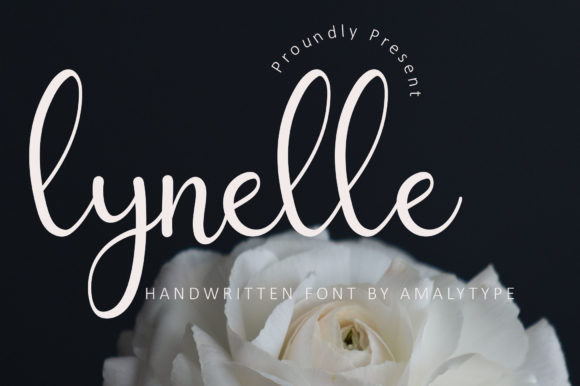 Lynelle Script & Handwritten Font By amalytype