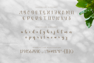 Benedicta Script & Handwritten Font By Graphue 2