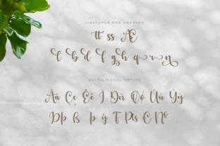 Benedicta Script & Handwritten Font By Graphue 3