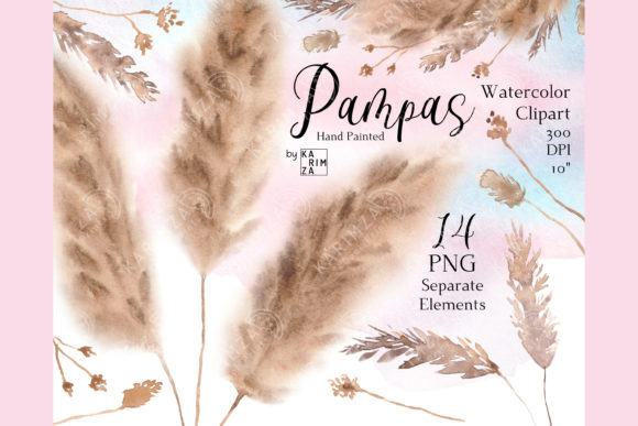 Fluffy Pampas Grass Clipart Watercolor Graphic Objects By KARIMZA illustrations