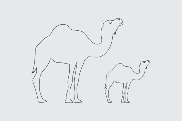 Camel Graphic Icons By Masum Bhuiyan