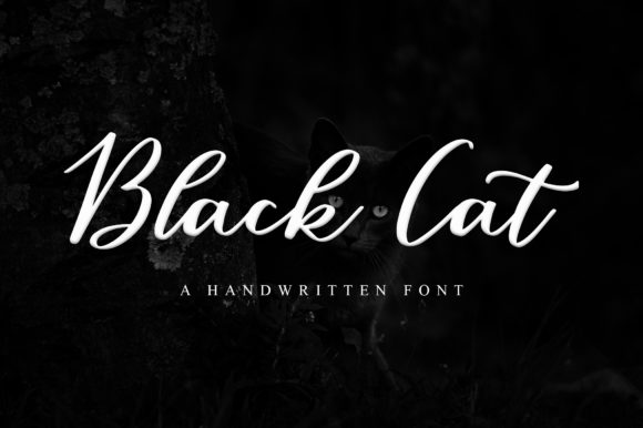Black Cat Script & Handwritten Font By feetype