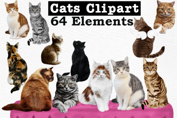 Cats Clipart Cat Breeds Cat Bundle Gráfico Ilustrações para Impressão Por LeCoqDesign
