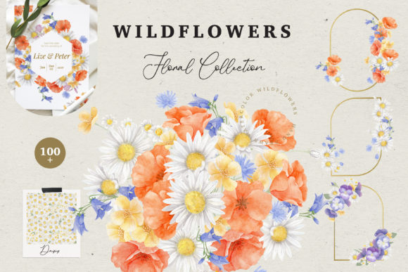 Wildflowers Floral Collection Graphic Illustrations By  Drawbbit